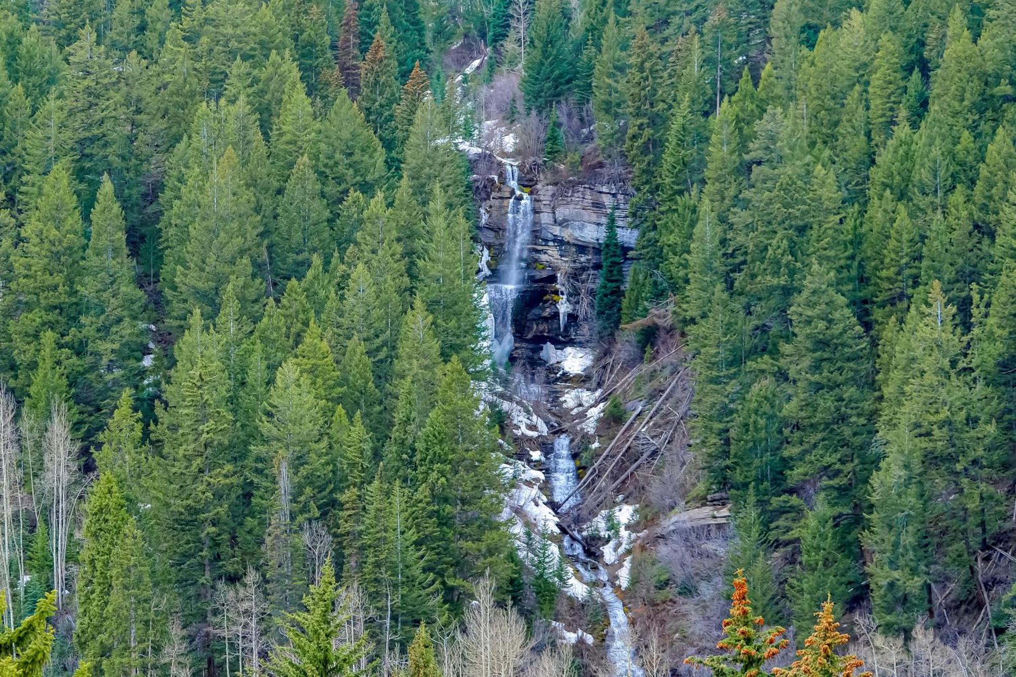 דירות וייל Pitkin Creek חדר תמונה